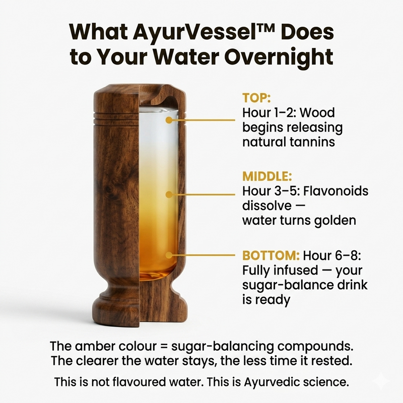 AyurVessel™
