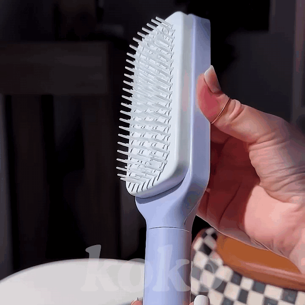 Retractable Bristles
